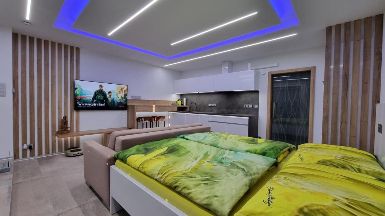 Apartment No. 29 - Riviera Lipno Nad Vltavou 511 Luaran gambar