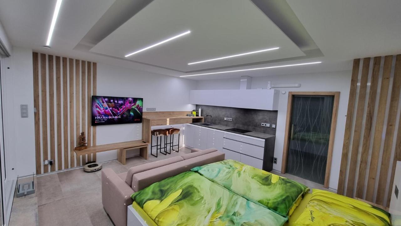 Apartment No. 29 - Riviera Lipno Nad Vltavou 511 Luaran gambar